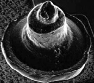 Výstupek nálitku před zarovnáním. Průměr drátu je 25 µm