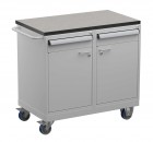 Treston - Vozík na nářadí Tool Trolley 2, vinylová deska, TWIN45-102-41