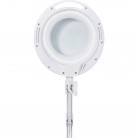 Stolní lupa s LED osvětlením TOOLCRAFT, 60 SMD LED, 8D, 3x, 3x127mm, bílá