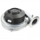 Bofa  international LTD - Motor pro BOFA 250, A1050014