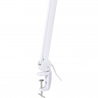 Stolní lupa s LED osvětlením TOOLCRAFT, 60 SMD LED, 8D, 3x, 3x127mm, bílá